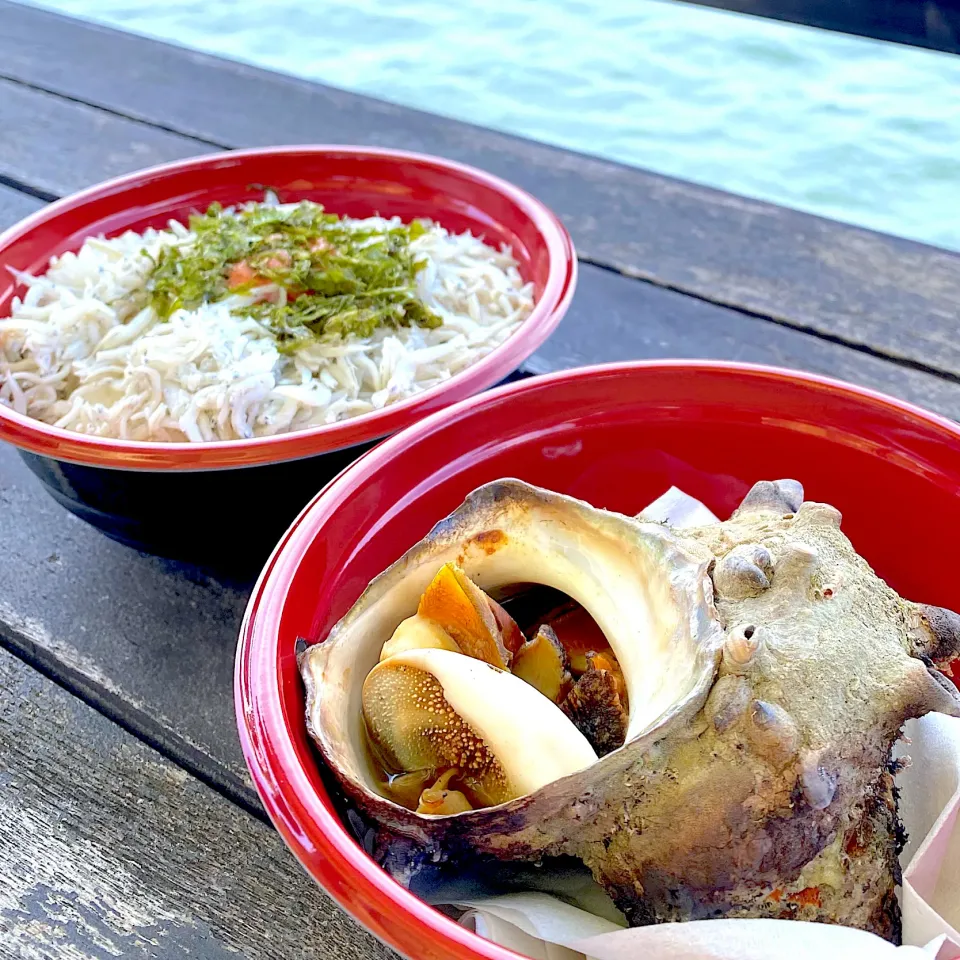 ぐーより大きいさざえとしらす丼|すいかみかんさん