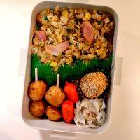 男子高生弁当