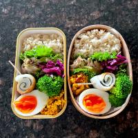 姉妹のお弁当 #579 #270