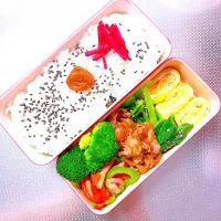 Snapdishの料理写真:お弁当|sachiさん