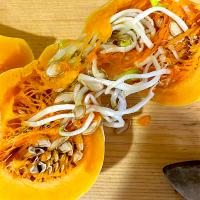 カボチャ内部での自然発芽