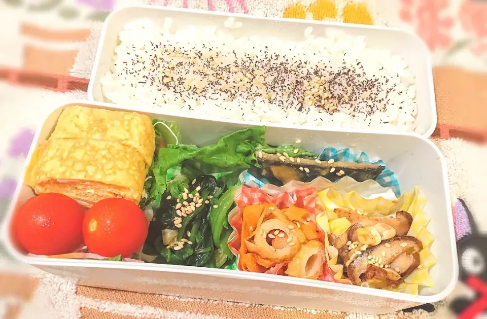 9月24日 今日のお弁当|ビアンカさん