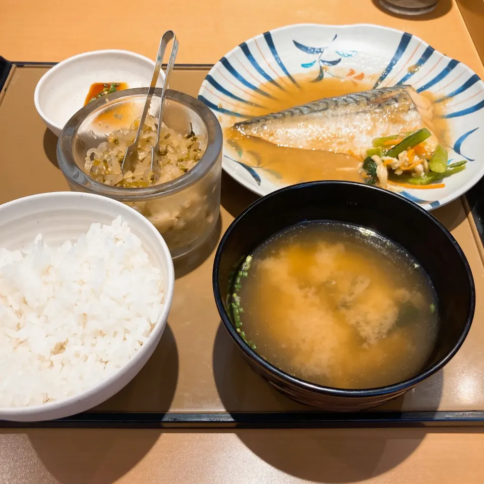 鯖のみそ煮定食|ちゃみこさん