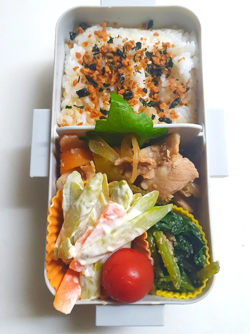 Snapdishの料理写真:☆中学生弁当☆玄米入り振りかけごはん、焼肉、ほうれん草胡麻和え、アスパラサラダ、ミニトマト|ｼｮｺﾗさん