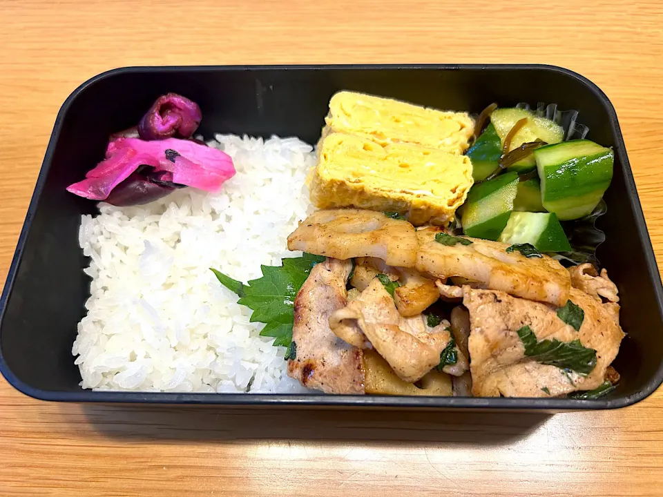 9月26日息子のお弁当|かおりさん