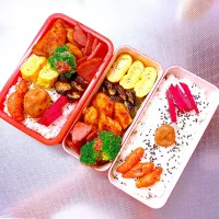 Snapdishの料理写真:お弁当😋🍴🍱♬*|sachiさん