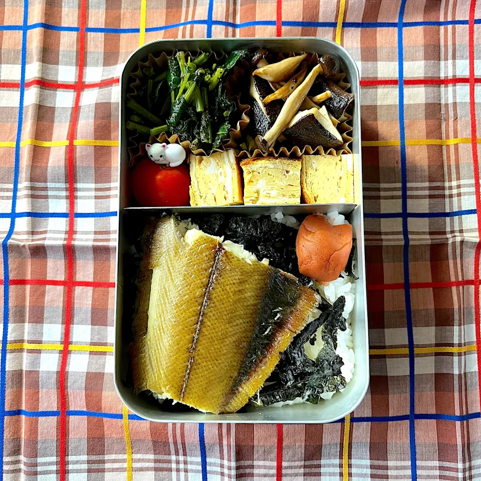 2023/09/27
カレイの干物🐟
モロヘイヤの胡麻和え
卵焼き
きのこ🍄のソテー
ミニトマト🍅|aichanさん