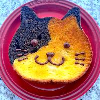 かわいいだけのねこぱん