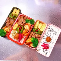 Snapdishの料理写真:息子とあたし弁当🍱|sachiさん