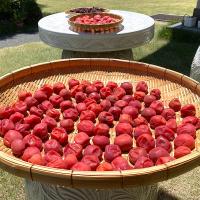 梅干し