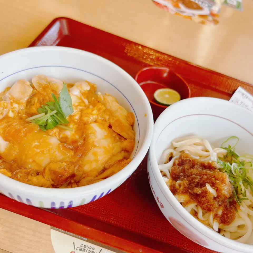 お昼ご飯|まめさん