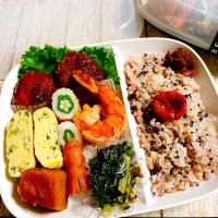 🙂ソースカツ弁当🙂