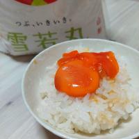 黄身の醤油漬けで卵かけご飯❤️
