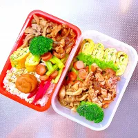 Snapdishの料理写真:お弁当🍱|sachiさん