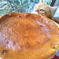 ベイクドチーズケーキ焼きました😸