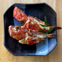 釣り魚🎣オニカサゴの塩焼き