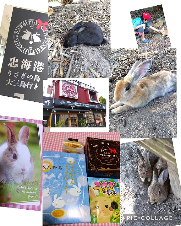 日帰りで大久野島🐇
*旦那さん、子供2人で!🥰|m.rafuさん