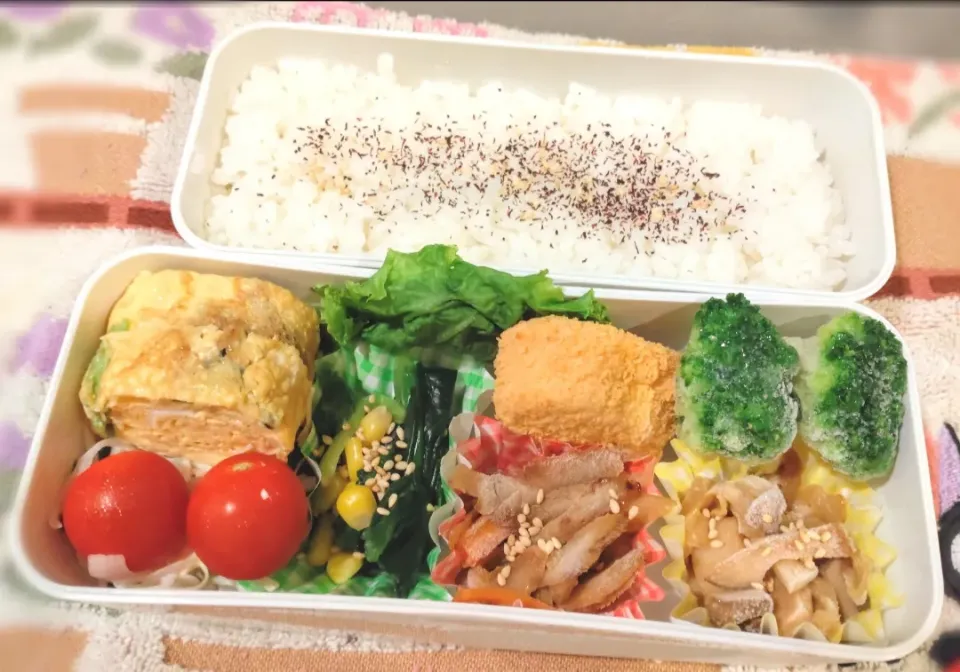 10月1日 今日のお弁当|ビアンカさん