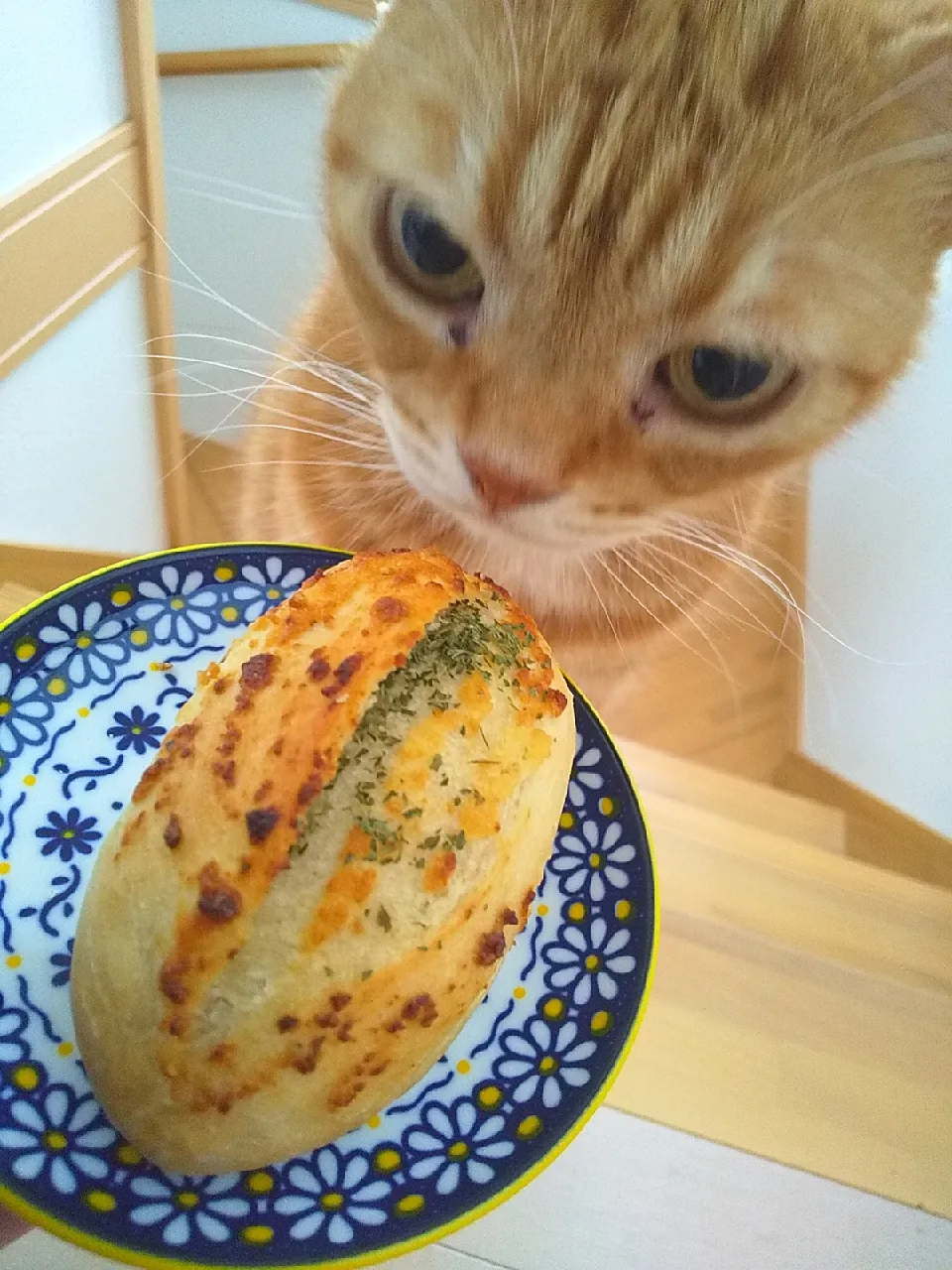 日曜日の朝は
ガーリックフランスパン🥖
コストコ生パンに
ガーリックソースをかけて焼いたら
さらに美味しくなりました😸|さくらんぼさん