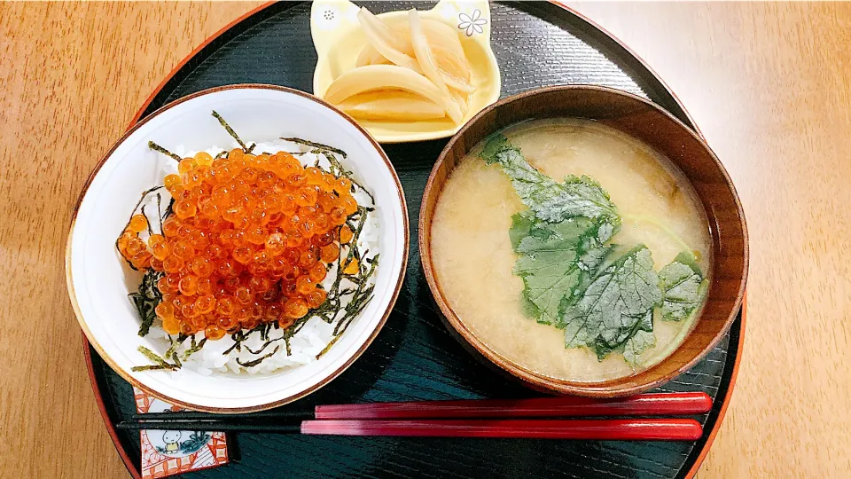 真夜中のいくら丼|ゆうかさんさん