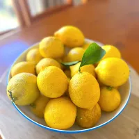 Homegrown lemons |Reiさん