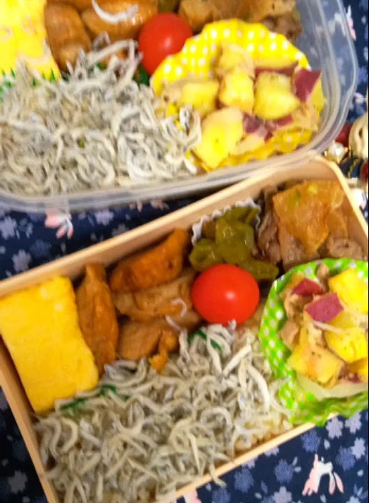 '23．10/2
本日のお弁当🍱|たえさん