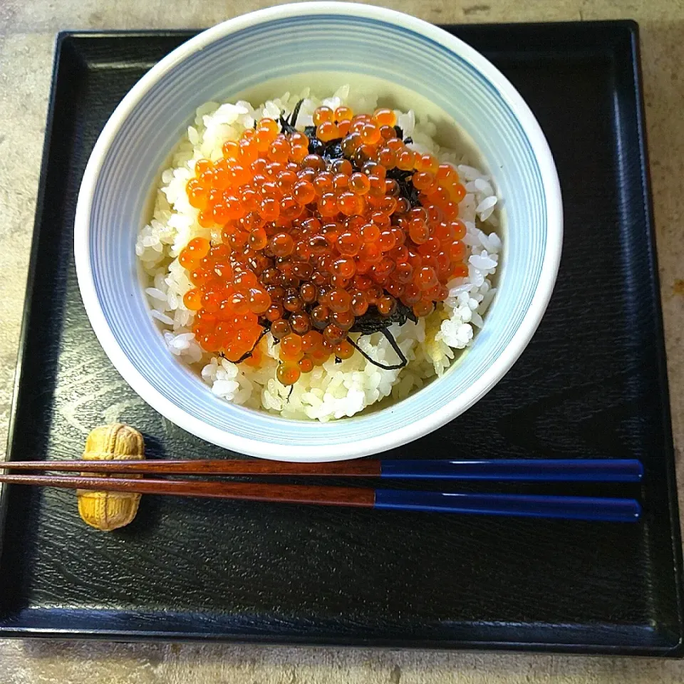 いくらの白醤油漬け丼|ハイドランジアさん