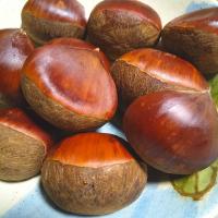 丹波栗🌰甘くて美味しい〰️