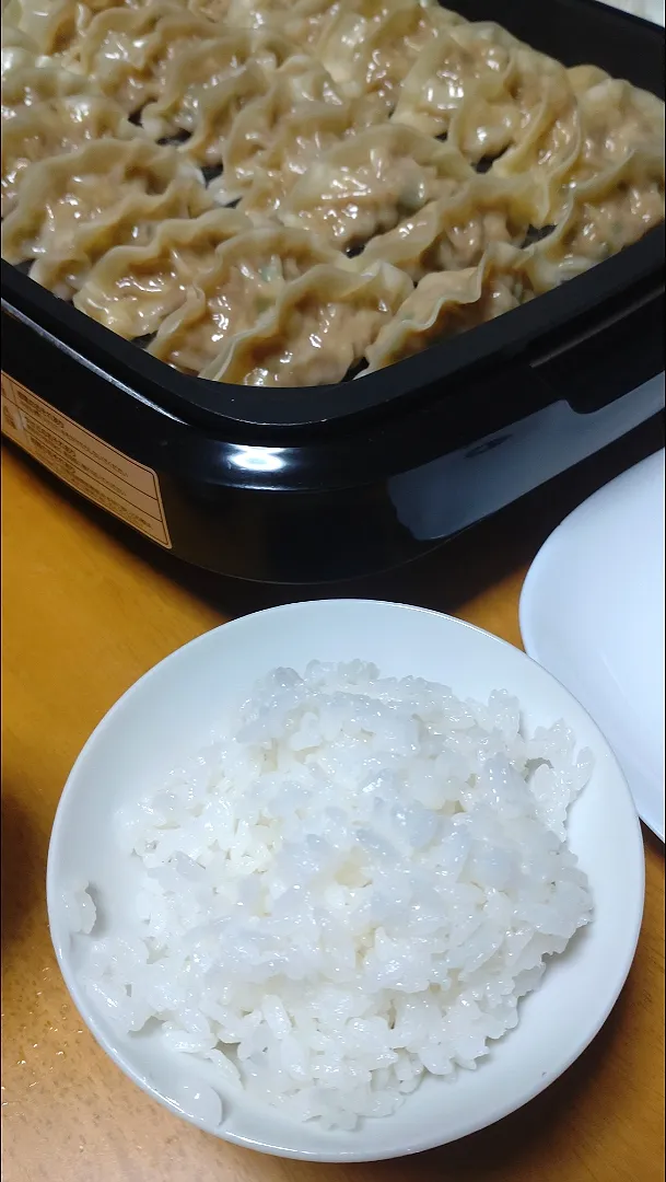 雪若丸と餃子|しまだ ちえこさん