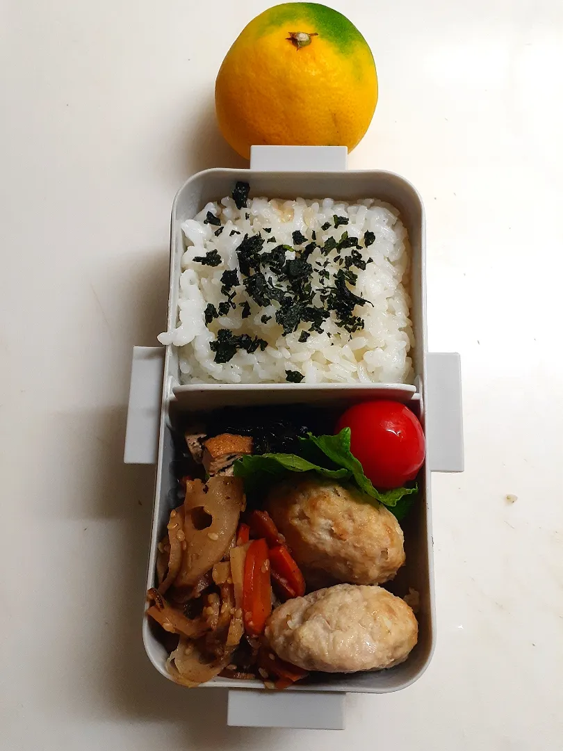 Snapdishの料理写真:☆中学生弁当☆玄米入り若芽ごはん、ひじき煮物、蓮金平、ハンバーグ、ミニトマト、みかん|ｼｮｺﾗさん