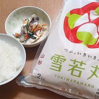 雪若丸とままかり