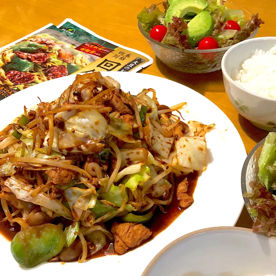 ✨大豆のお肉で本格四川回鍋肉もやしもたっぷりと✨|さらっと🍀さん