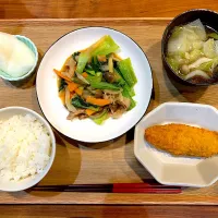 今日の夜ご飯(青梗菜炒め、白身魚フライ、白菜とツナのスープ、梨)