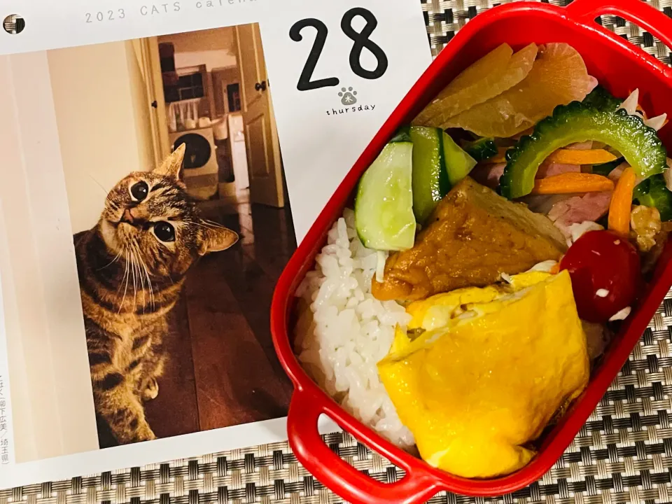 Snapdishの料理写真:20230928🍱今日の自分弁当🍱|akiyo22さん