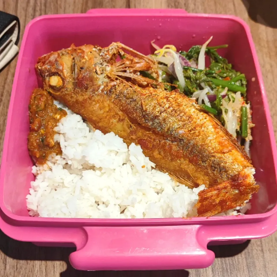 Mix Rice
- Ikan Kerisi Garing
- Kerabu Pucuk Paku
- Sambal belacan|simatasepetさん