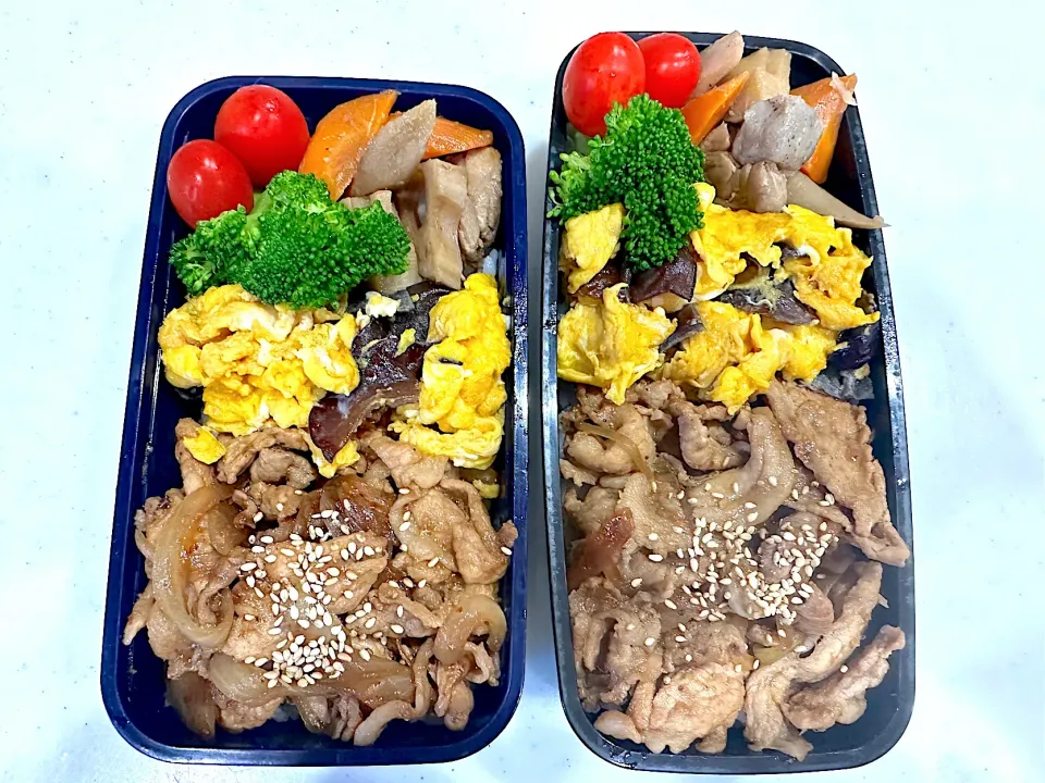 きくらげ入れてみた。弁当|naoさん