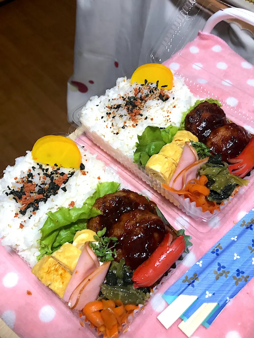 煮込みハンバーグ弁当|魅耜さん