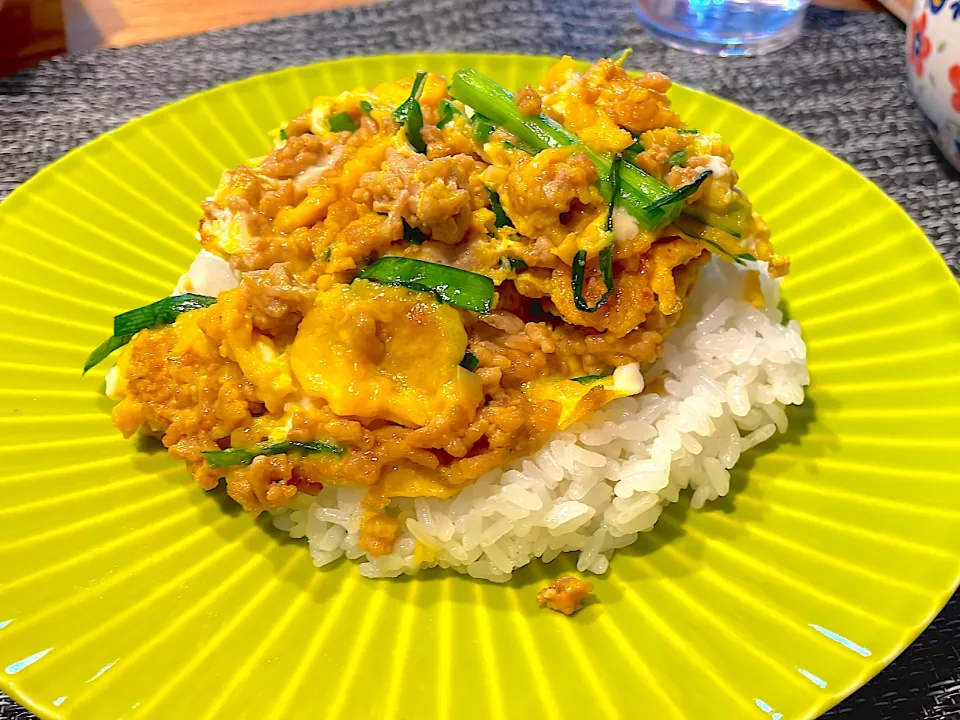 Snapdishの料理写真:ひき肉とニラの炒めものライス🍚|AK@Night Cookerさん