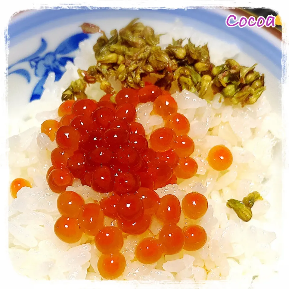 Snapdishの料理写真:アッチさんの料理 いくらの醤油漬けと紫蘇の実の梅酢漬け|cocoaさん