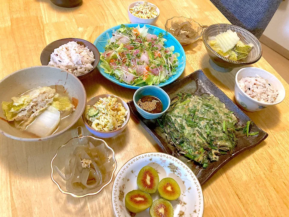 白菜の重ね煮(鶏せせりミンチ➕大豆ミンチ)♡お刺身切り落としのカルパッチョ♡ニラチヂミ♡おきうと♡マカロニサラダ♡雑穀米ご飯♡ルビーレッドキウイ|さくたえさん