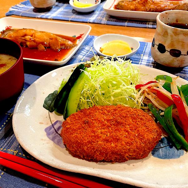 【希少レトロ新品未使用】天火オーブン-象印テンピハイメニュー 入手困難⭐️ テンピオーブン 天火オーブン 象印 ハイメニュー GT-13