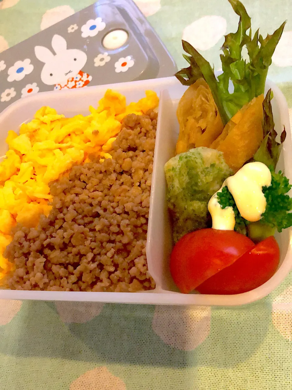 2023.10.11  ＊今日のお弁当＊そぼろ丼♬*°|rinrin*mama*さん