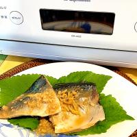 エブリノでサバの味噌煮🐟