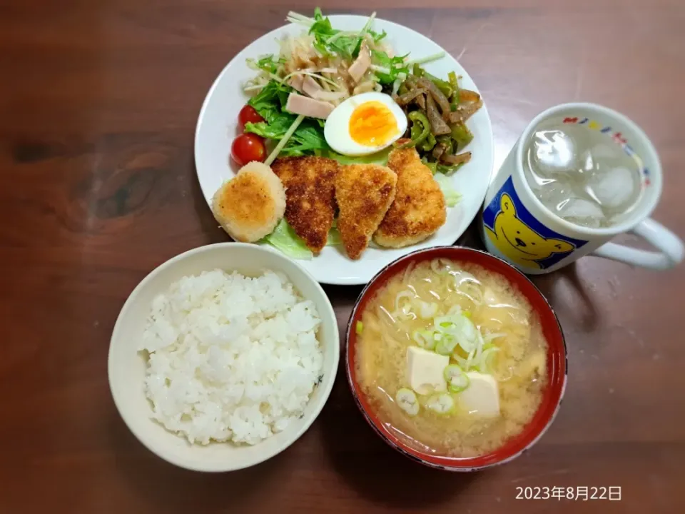 2023年8月22日の晩ご飯
ササミフライ焼き
ピーマンとこんにゃくのきんぴら
切干大根サラダ
豆腐と玉ねぎのお味噌汁
焼酎水割り|ソラ♂のご飯さん