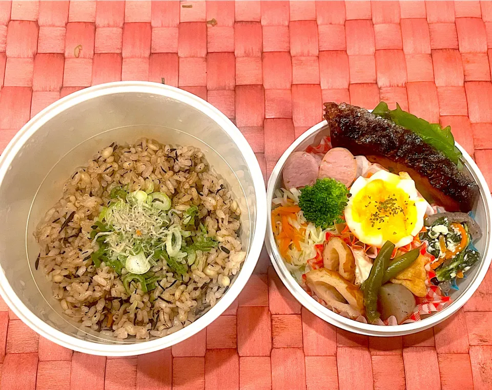 中学生息子のお弁当🍱 ぶりの照り焼きとひじきじゃこの炊き込みご飯弁当🍱|Snow10さん