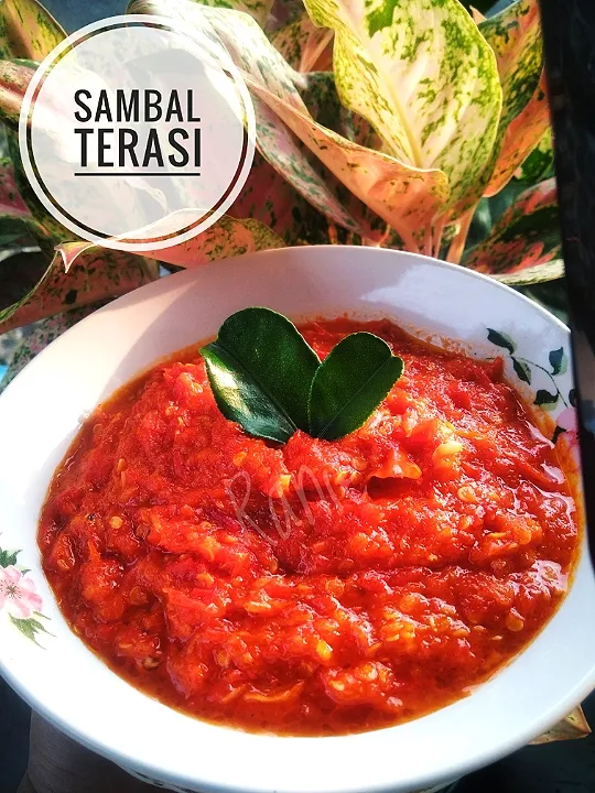 Sambal Terasi / Chili Shrimp Paste

😍🥰😘🌶🌶🌶🥵🥵|Enjel Bebi Enjelさん