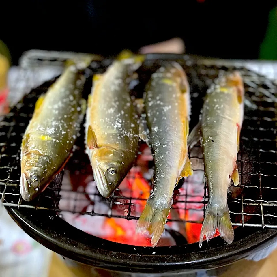 鮎の塩焼き|まさよしさん