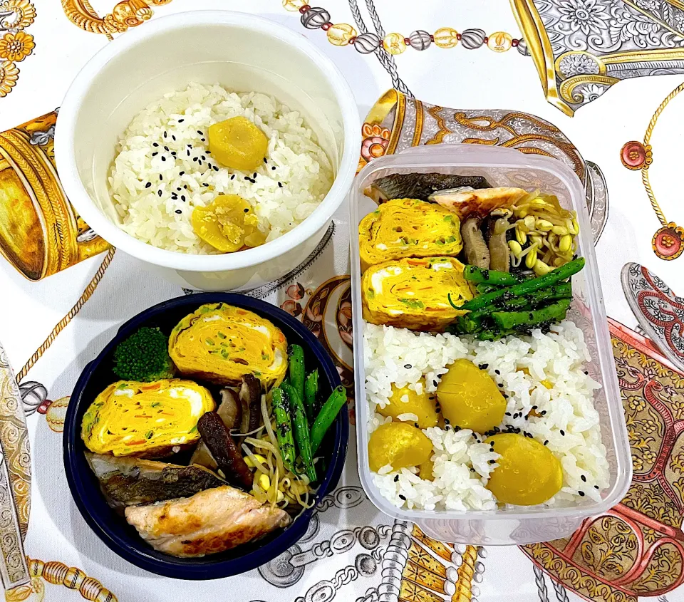 久し振りの息子・夫弁当🍱|Seikoさん