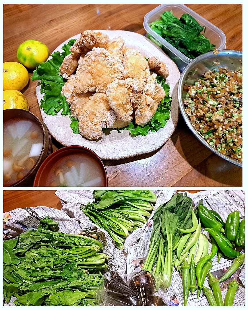 からあげ　やたら　大根菜のお浸し　なめこ汁|m aさん