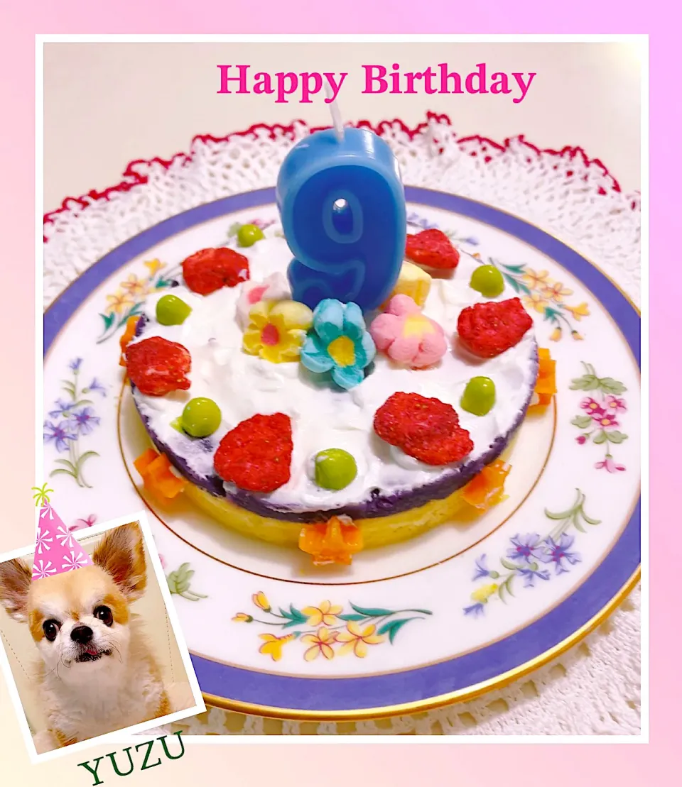 ☆愛犬 “ゆず” 9歳になりました🎂☆|ちゃべさん